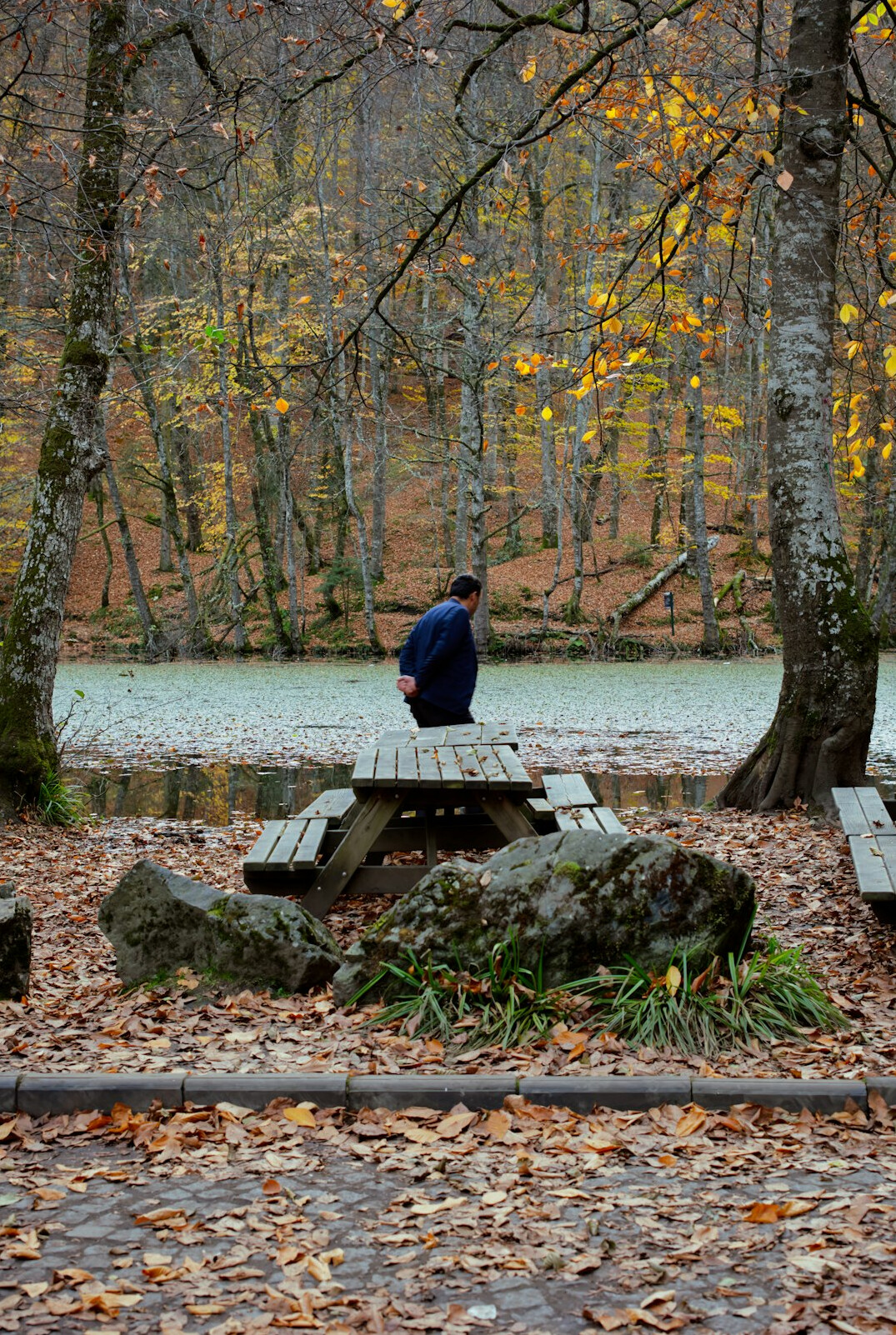 person meditating in serene setting