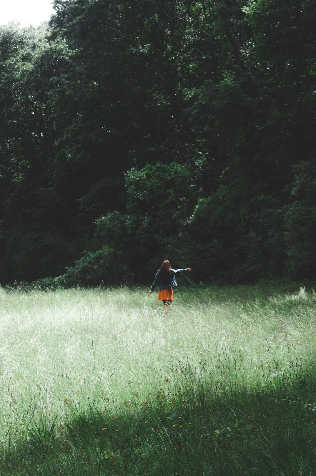 person enjoying nature walk
